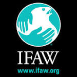 Blaubeerwald unterstützt IFAW - INTERNATIONAL FUND FOR ANIMAL WELFARE