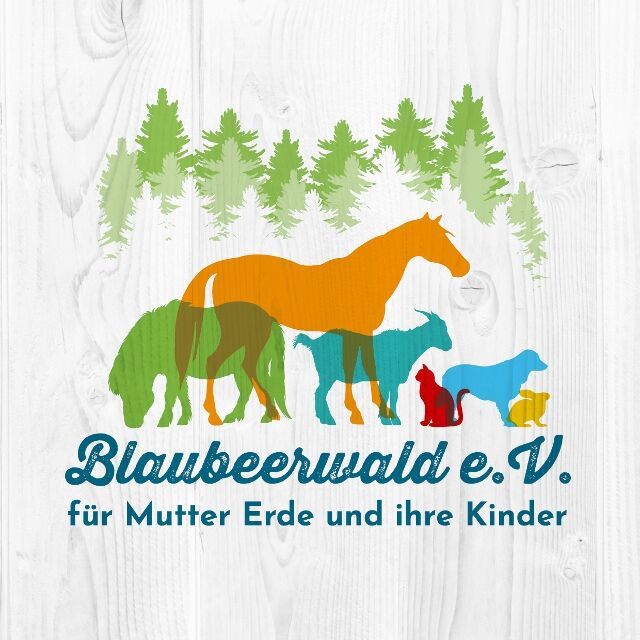 Unsere Vereinstätigkeit!  Unser gemeinnütziger "BLAUBEERWALD-VEREIN - für Mutter Erde und ihre Kinder" | © Blaubeerwald Institut®