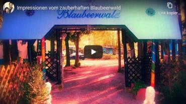 Märchenhafter Besuch!  Impressionen vom zauberhaften Blaubeerwald  | © Blaubeerwald Institut®