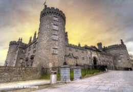 Burg Ausflug und Besuch - Irland Reise | © Blaubeerwald Institut®
